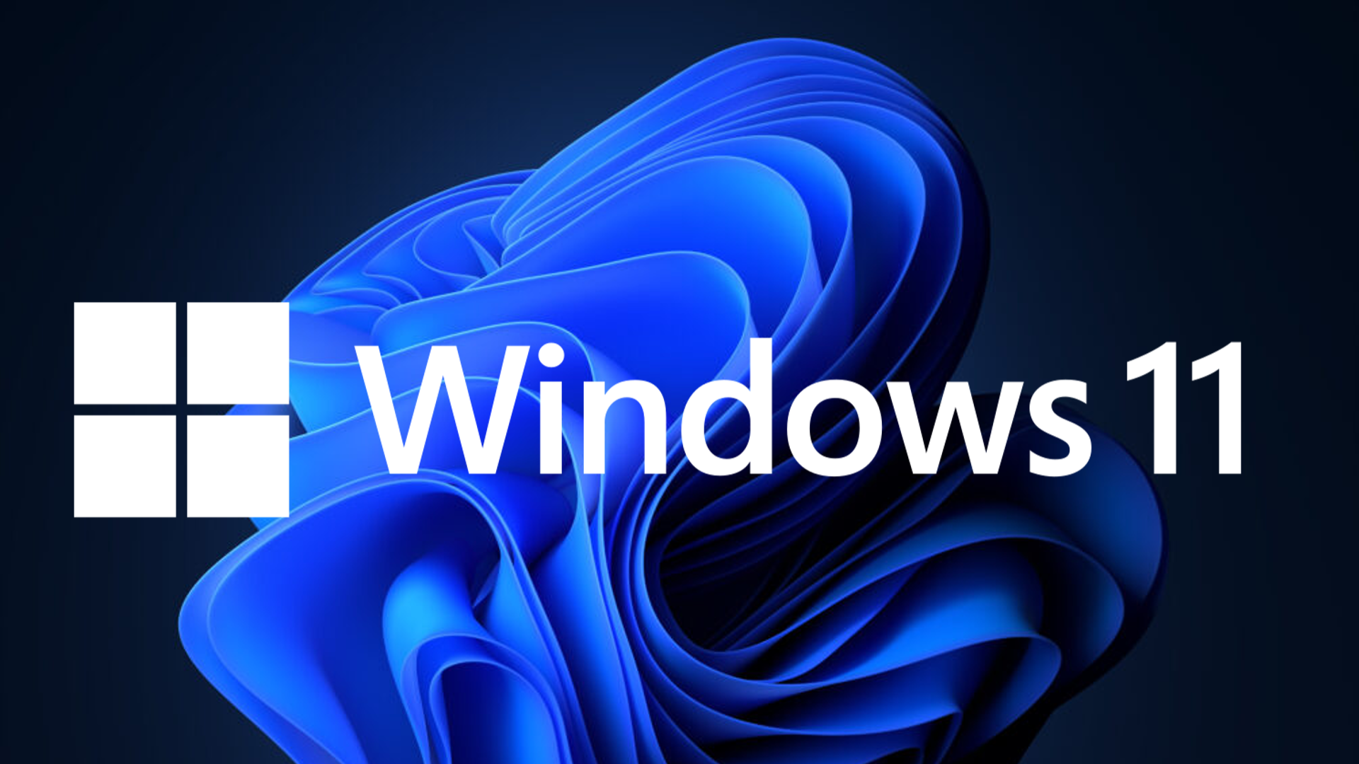 Windows11